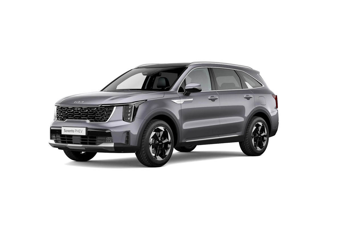 Kia Sorento 1.6 tgdi phev Business 4wd at6